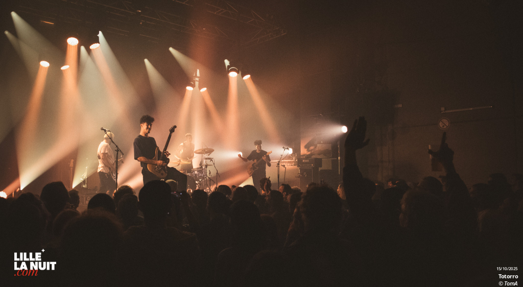 Zombie Zombie + Totorro au Grand Mix en live - photo n°4