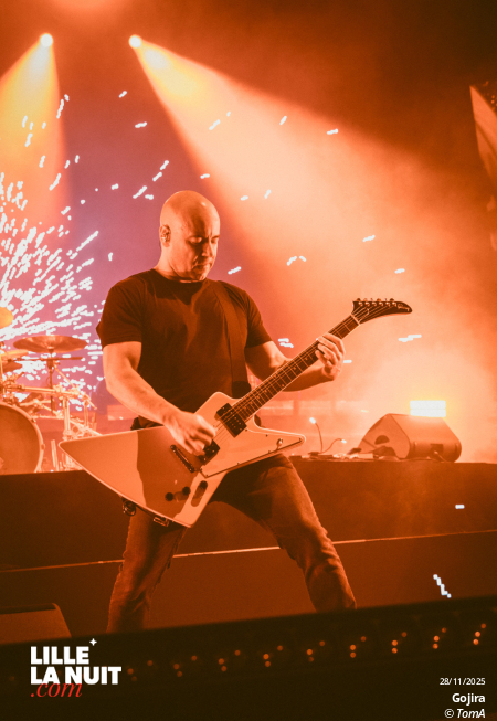 Gojira + Comeback kid + Neckbreakker au Zénith de Lille en live - photo n°28