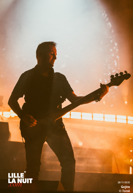 Gojira + Comeback kid + Neckbreakker au Zénith de Lille en live - photo n°39