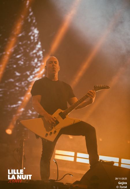 Gojira + Comeback kid + Neckbreakker au Zénith de Lille en live - photo n°42