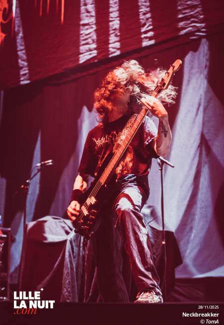 Gojira + Comeback kid + Neckbreakker au Zénith de Lille en live - photo n°20