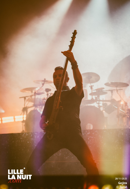 Gojira + Comeback kid + Neckbreakker au Zénith de Lille en live - photo n°33
