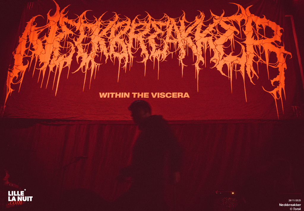 Gojira + Comeback kid + Neckbreakker au Zénith de Lille en live - photo n°7