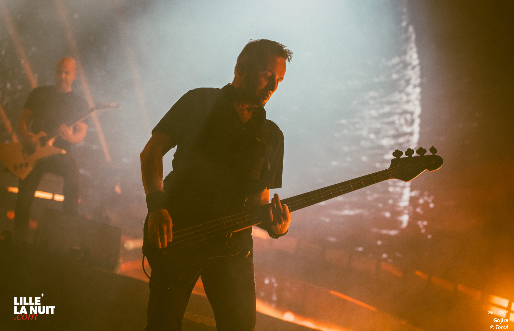 Gojira + Comeback kid + Neckbreakker au Zénith de Lille en live - photo n°38