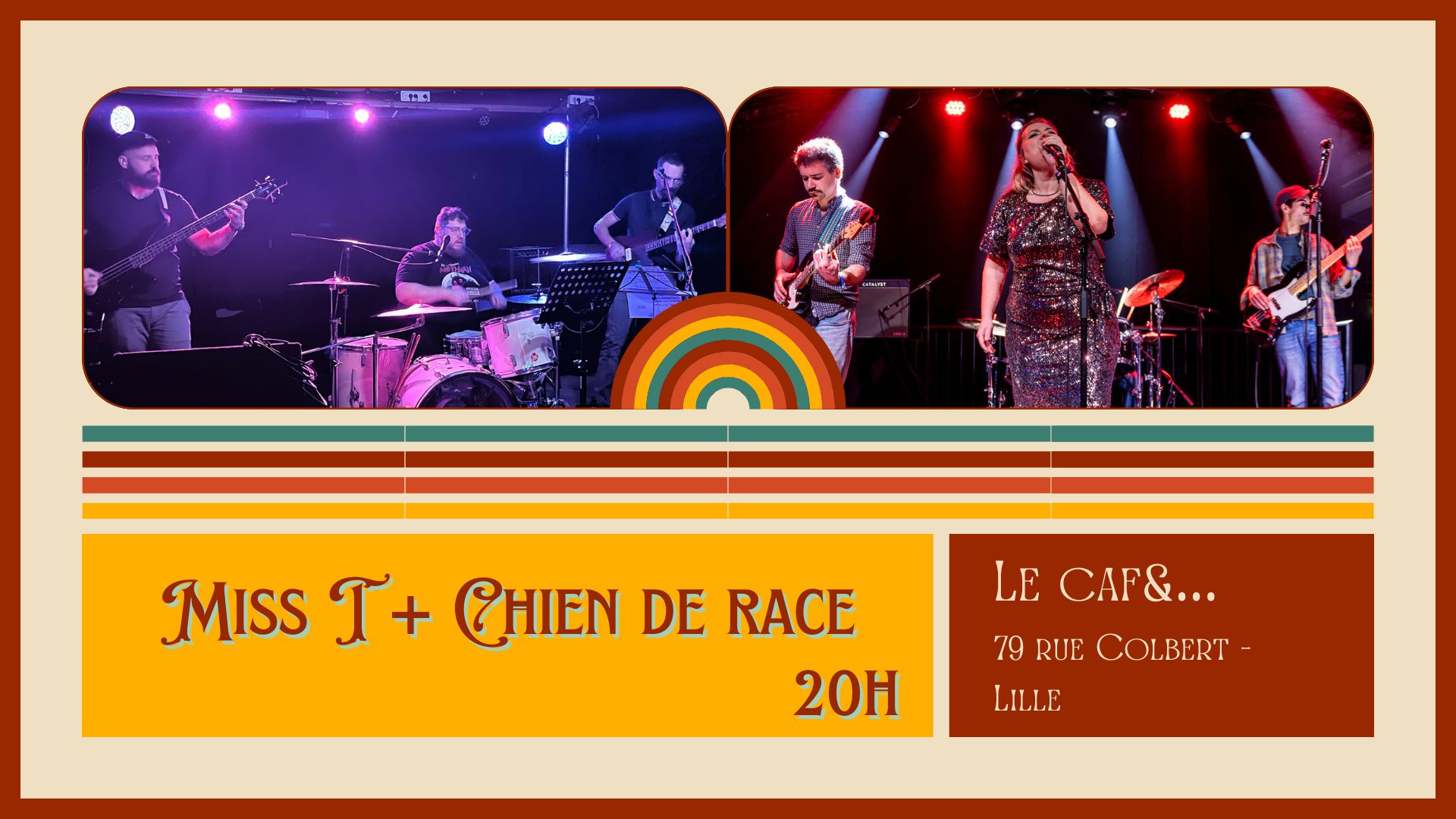 Miss T + Chien de race