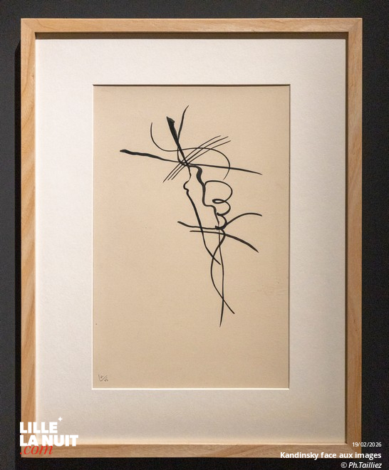 Réouverture du LaM – Kandinsky face aux images en live - photo n°28