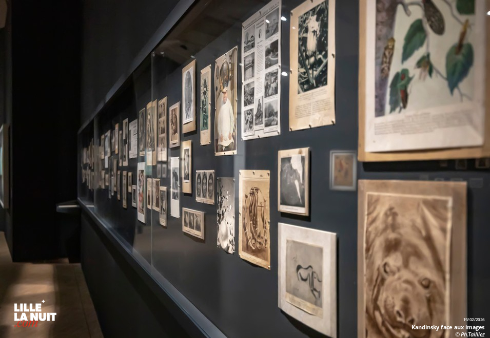 Réouverture du LaM – Kandinsky face aux images en live - photo n°8