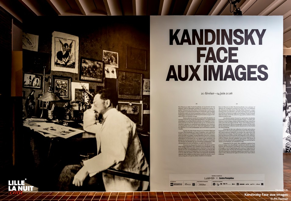 Réouverture du LaM – Kandinsky face aux images en live - photo n°19