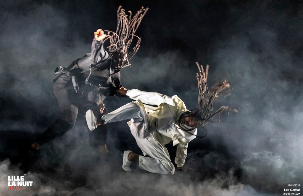 Murmuration – Level 2 + Les Gamal au Zénith de Lille en live - photo n°4