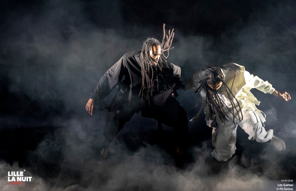 Murmuration – Level 2 + Les Gamal au Zénith de Lille en live - photo n°3