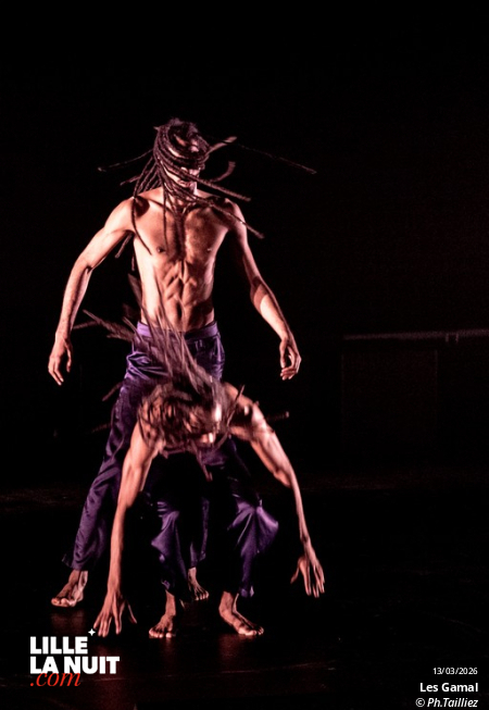 Murmuration – Level 2 + Les Gamal au Zénith de Lille en live - photo n°9