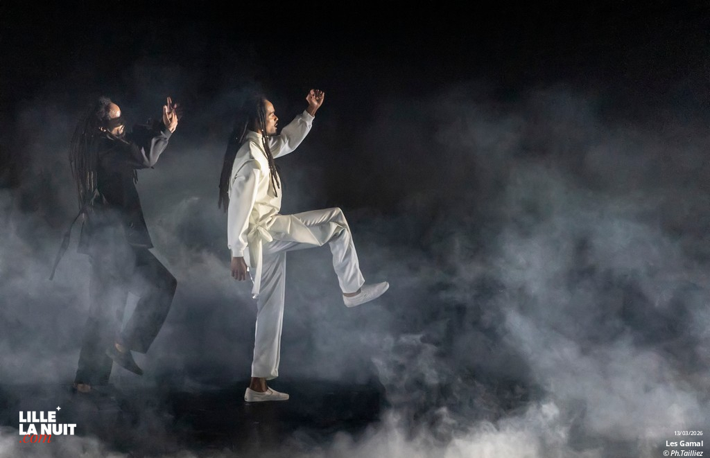 Murmuration – Level 2 + Les Gamal au Zénith de Lille en live - photo n°8