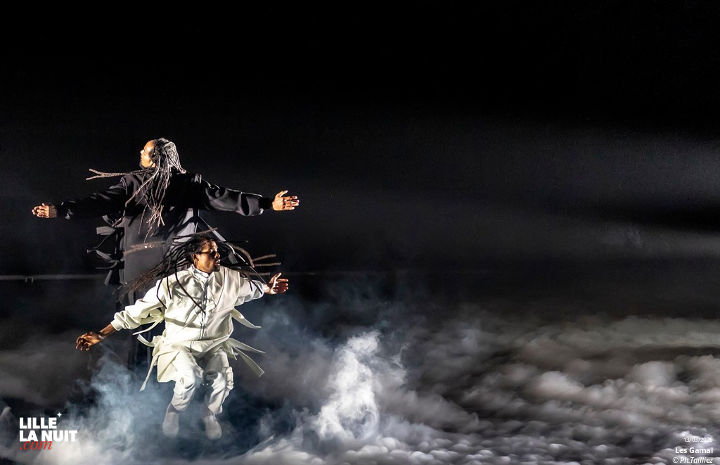 Murmuration – Level 2 + Les Gamal au Zénith de Lille en live - photo n°5