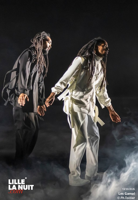 Murmuration – Level 2 + Les Gamal au Zénith de Lille en live - photo n°7