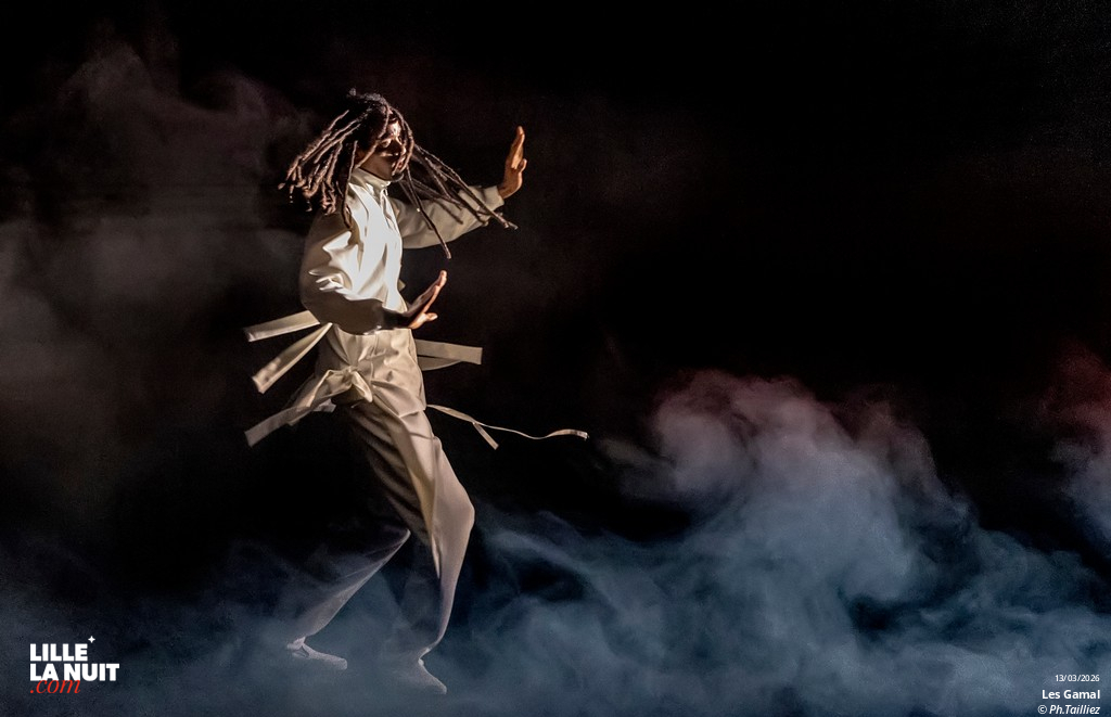 Murmuration – Level 2 + Les Gamal au Zénith de Lille en live - photo n°6