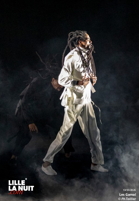 Murmuration – Level 2 + Les Gamal au Zénith de Lille en live - photo n°2