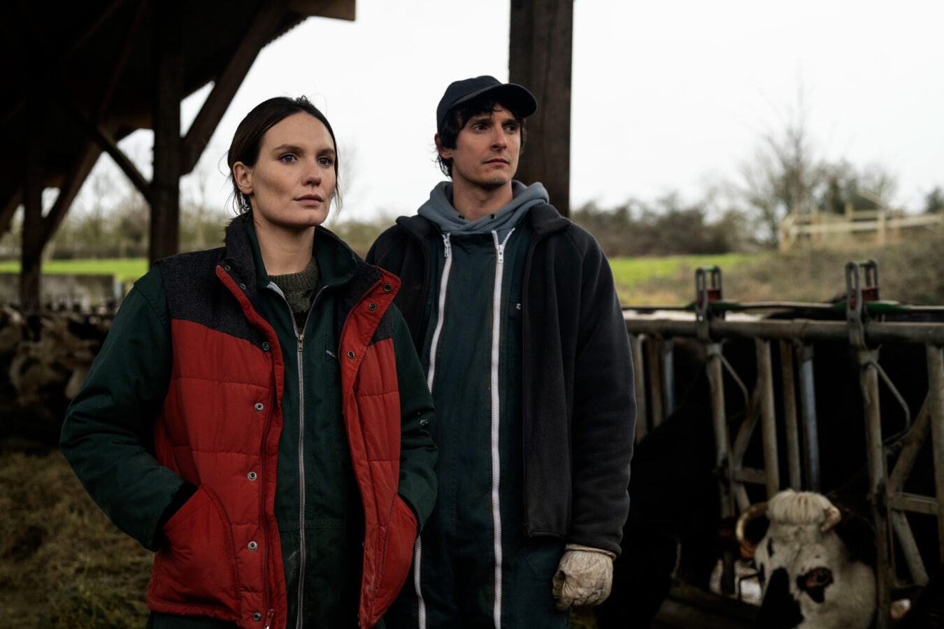 « La Guerre des Prix » : interview avec Ana Girardot et le réalisateur Anthony Déchaux