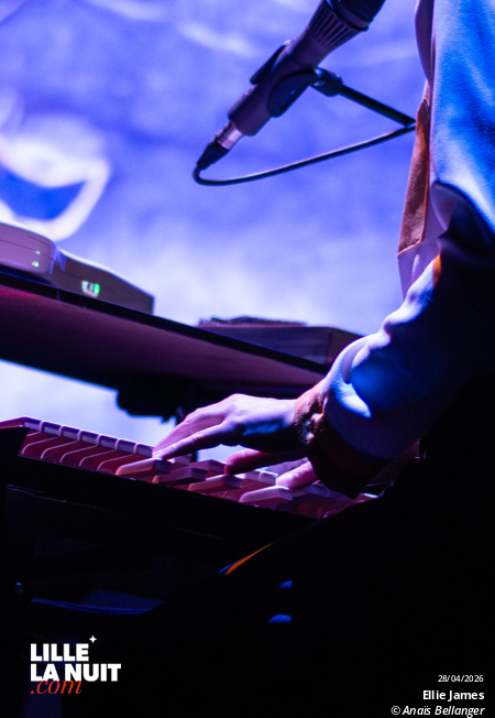 Le Ciné-Concert Doggo par Ellie James au Grand Mix en live - photo n°4