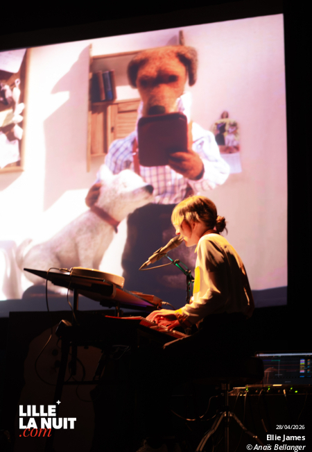 Le Ciné-Concert Doggo par Ellie James au Grand Mix en live - photo n°7