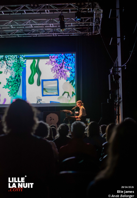 Le Ciné-Concert Doggo par Ellie James au Grand Mix en live - photo n°5