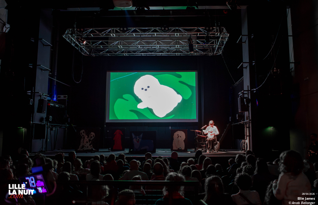 Le Ciné-Concert Doggo par Ellie James au Grand Mix en live - photo n°2