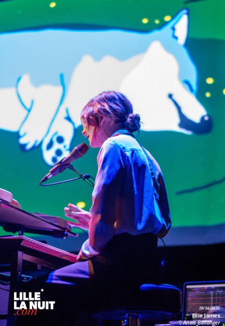 Le Ciné-Concert Doggo par Ellie James au Grand Mix en live - photo n°3