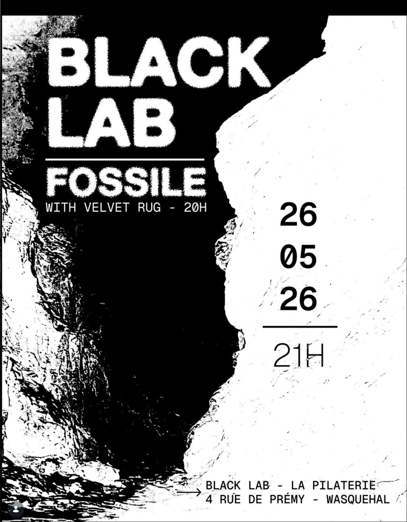 Fossile + Velvet Rug