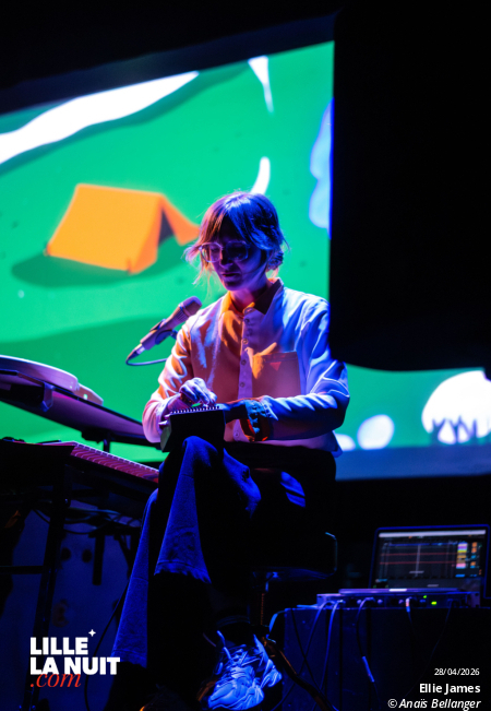 Le Ciné-Concert Doggo par Ellie James au Grand Mix en live - photo n°1