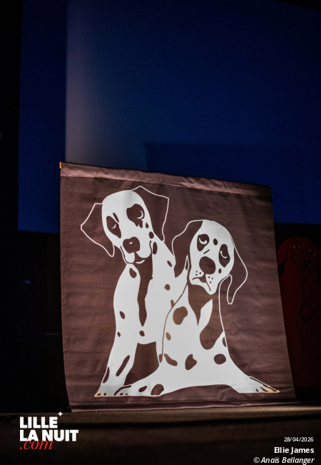 Le Ciné-Concert Doggo par Ellie James au Grand Mix en live - photo n°6