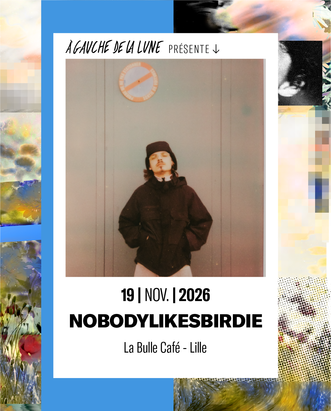 NOBODYLIKESBIRDIE