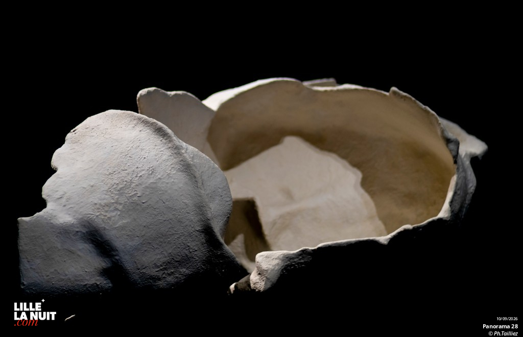L&rsquo;exposition Panorama 28 – Invisibles ? au Fresnoy en live - photo n°26