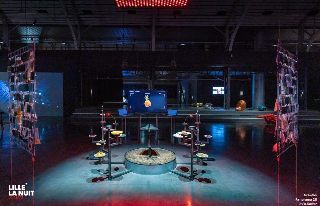L&rsquo;exposition Panorama 28 – Invisibles ? au Fresnoy en live - photo n°8
