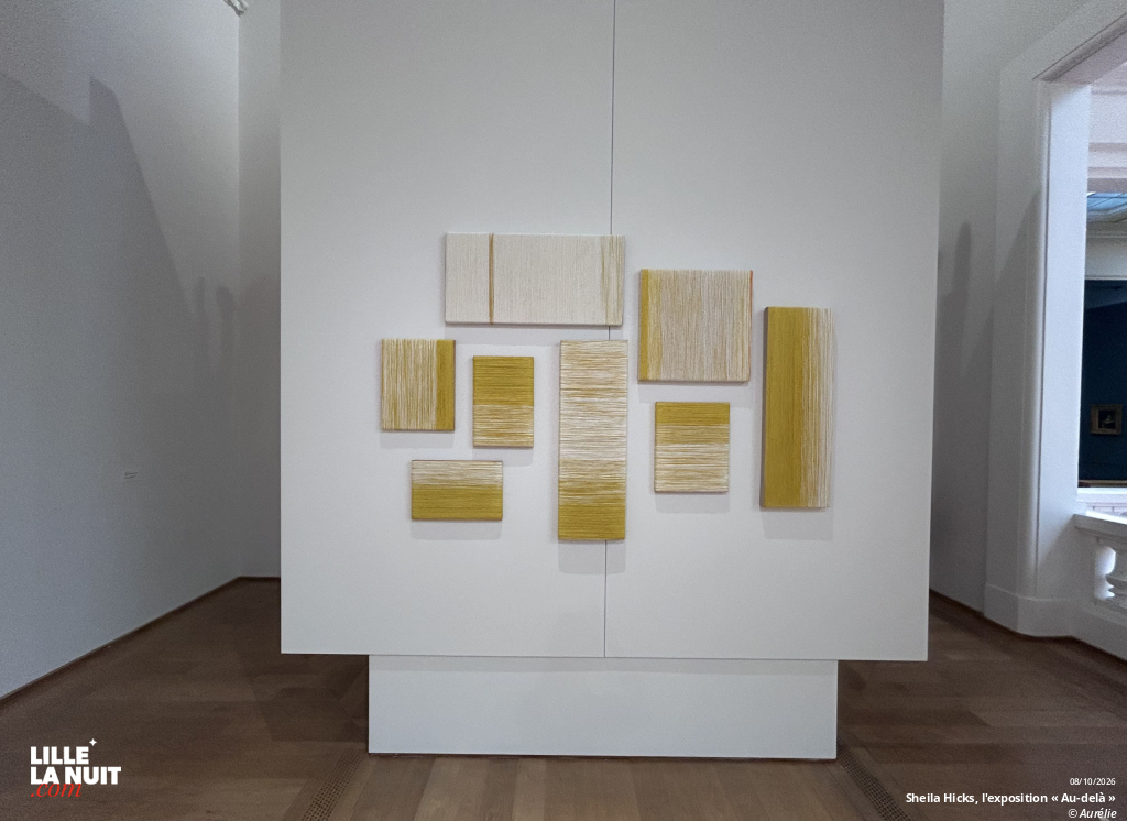Sheila Hicks, l&rsquo;exposition « Au-delà » au Palais des Beaux-Arts de Lille en live - photo n°13