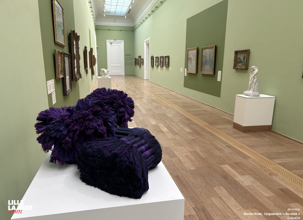 Sheila Hicks, l&rsquo;exposition « Au-delà » au Palais des Beaux-Arts de Lille en live - photo n°17