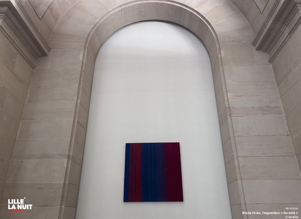 Sheila Hicks, l&rsquo;exposition « Au-delà » au Palais des Beaux-Arts de Lille en live - photo n°7