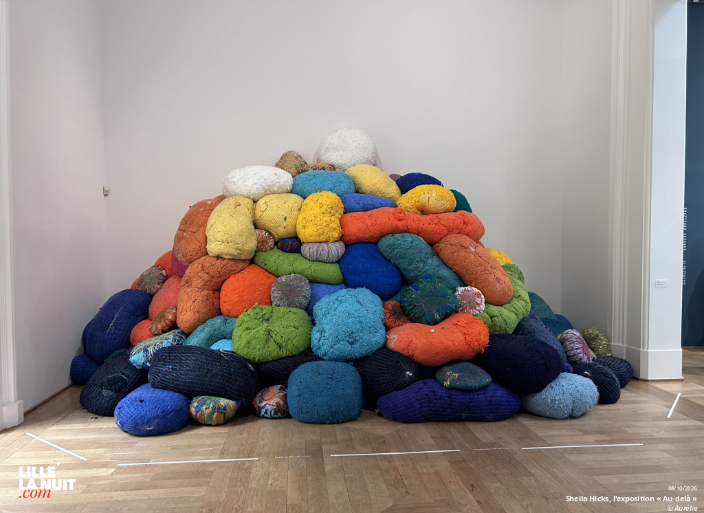 Sheila Hicks, l&rsquo;exposition « Au-delà » au Palais des Beaux-Arts de Lille en live - photo n°15