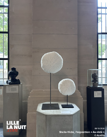 Sheila Hicks, l&rsquo;exposition « Au-delà » au Palais des Beaux-Arts de Lille en live - photo n°8