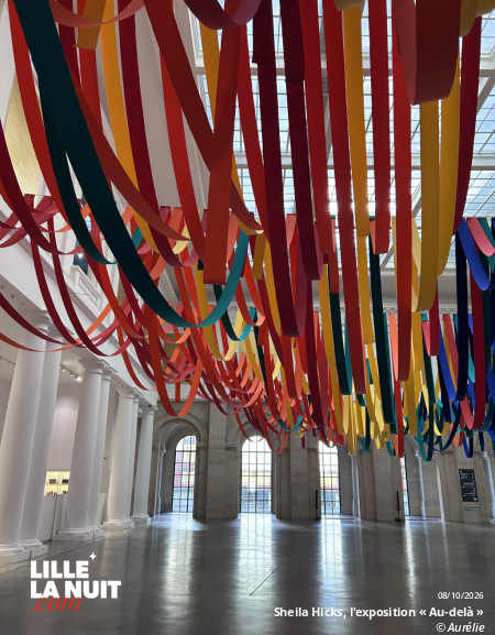 Sheila Hicks, l&rsquo;exposition « Au-delà » au Palais des Beaux-Arts de Lille en live - photo n°3