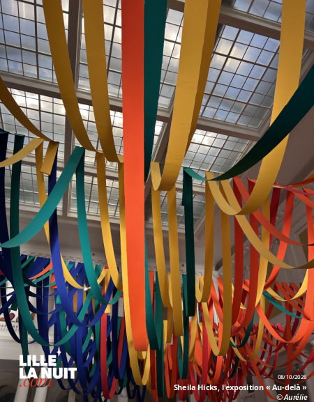 Sheila Hicks, l&rsquo;exposition « Au-delà » au Palais des Beaux-Arts de Lille en live - photo n°5