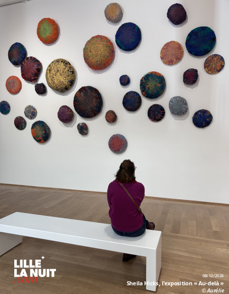 Sheila Hicks, l&rsquo;exposition « Au-delà » au Palais des Beaux-Arts de Lille en live - photo n°9