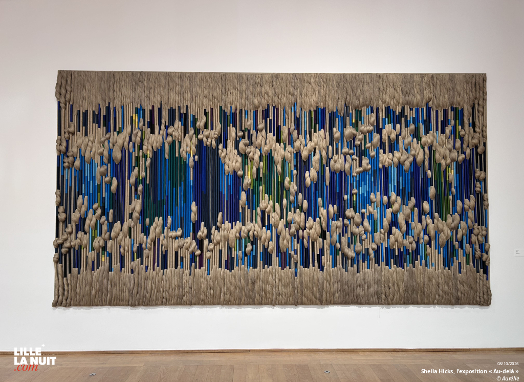 Sheila Hicks, l&rsquo;exposition « Au-delà » au Palais des Beaux-Arts de Lille en live - photo n°11
