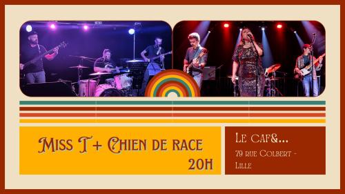 Miss T + Chien de race