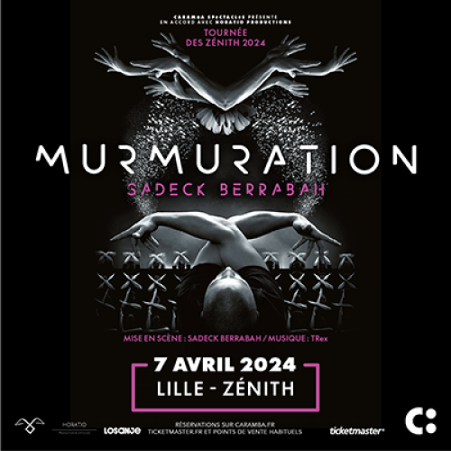 Murmuration, le spectacle aux chorégraphies hypnotisantes