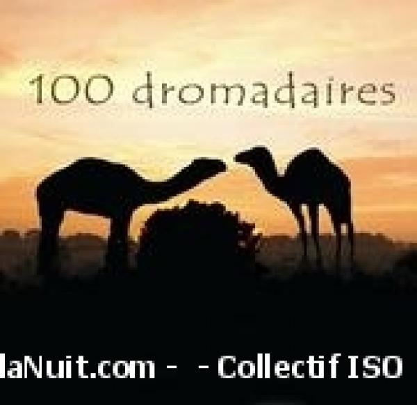 100 Dromadaires et Omar Sosa aux Arcades