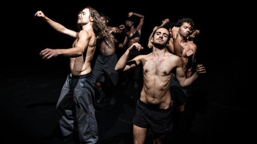 Le Next Festival – Edition 2025