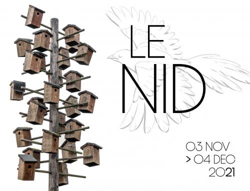 Le nid – Une exposition autour du nid et de ses habitants