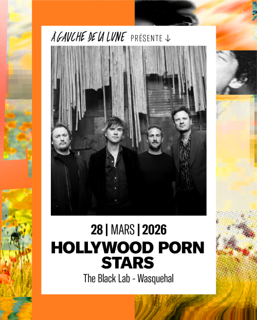 Hollywood Porn Stars