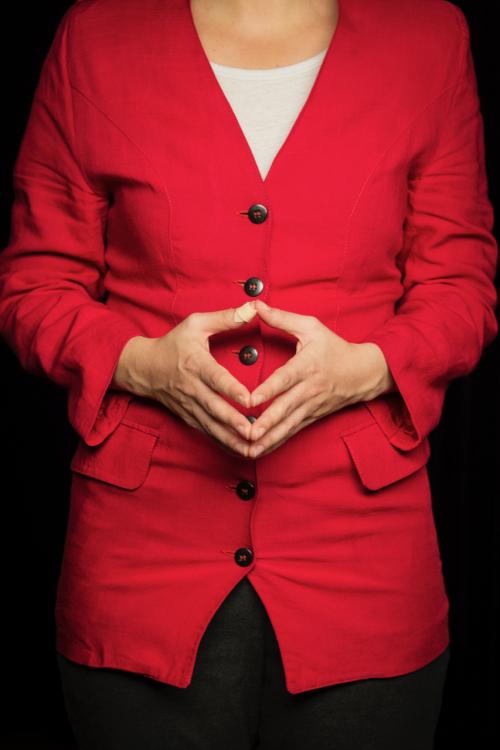 Guten tag, Madame Merkel le spectacle