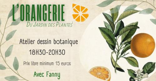 Ateliers dessin afterwork à l’Orangerie !
