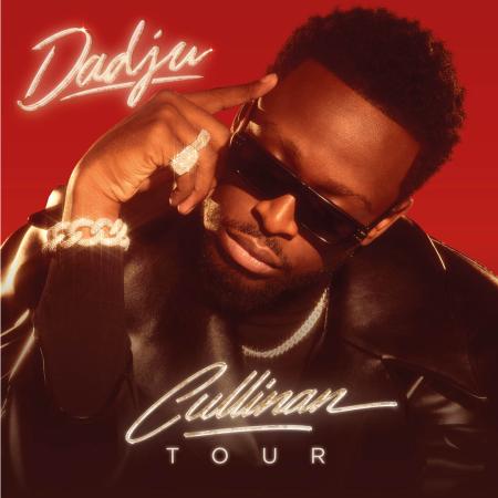 Dadju en concert au Zénith de Lille